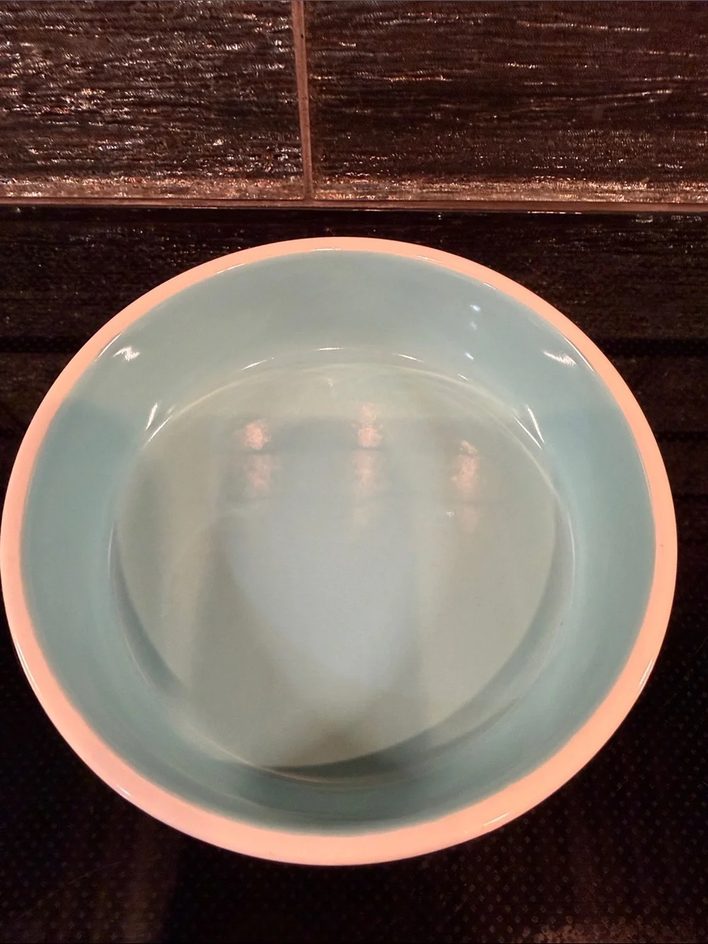 Rae Dunn “Nibble” Ceramic Pet Bowl Tiffany Blue Interior Toy Dog Puppy Cat Dish